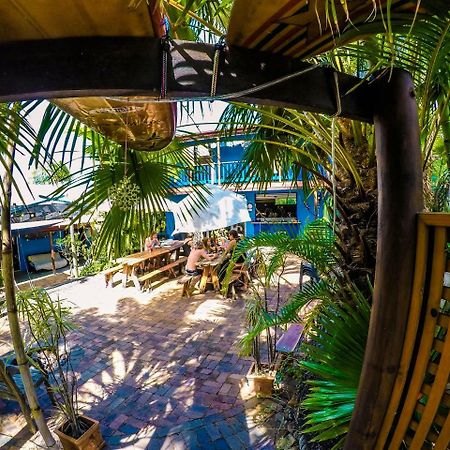 הוסטל אגנס ווטר Cool Bananas Backpackers מראה חיצוני תמונה