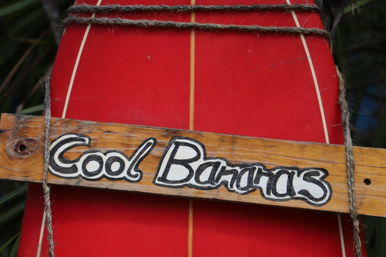 הוסטל אגנס ווטר Cool Bananas Backpackers מראה חיצוני תמונה