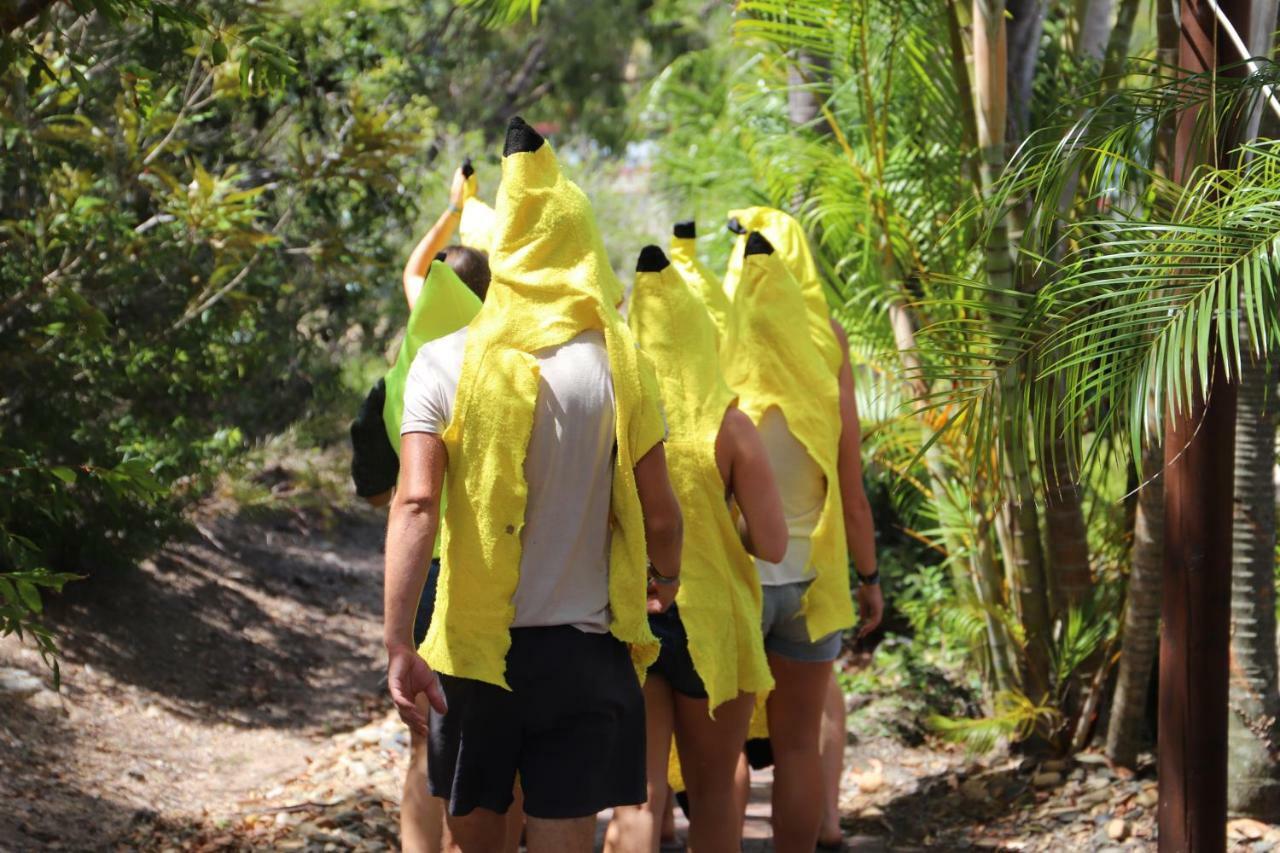 הוסטל אגנס ווטר Cool Bananas Backpackers מראה חיצוני תמונה